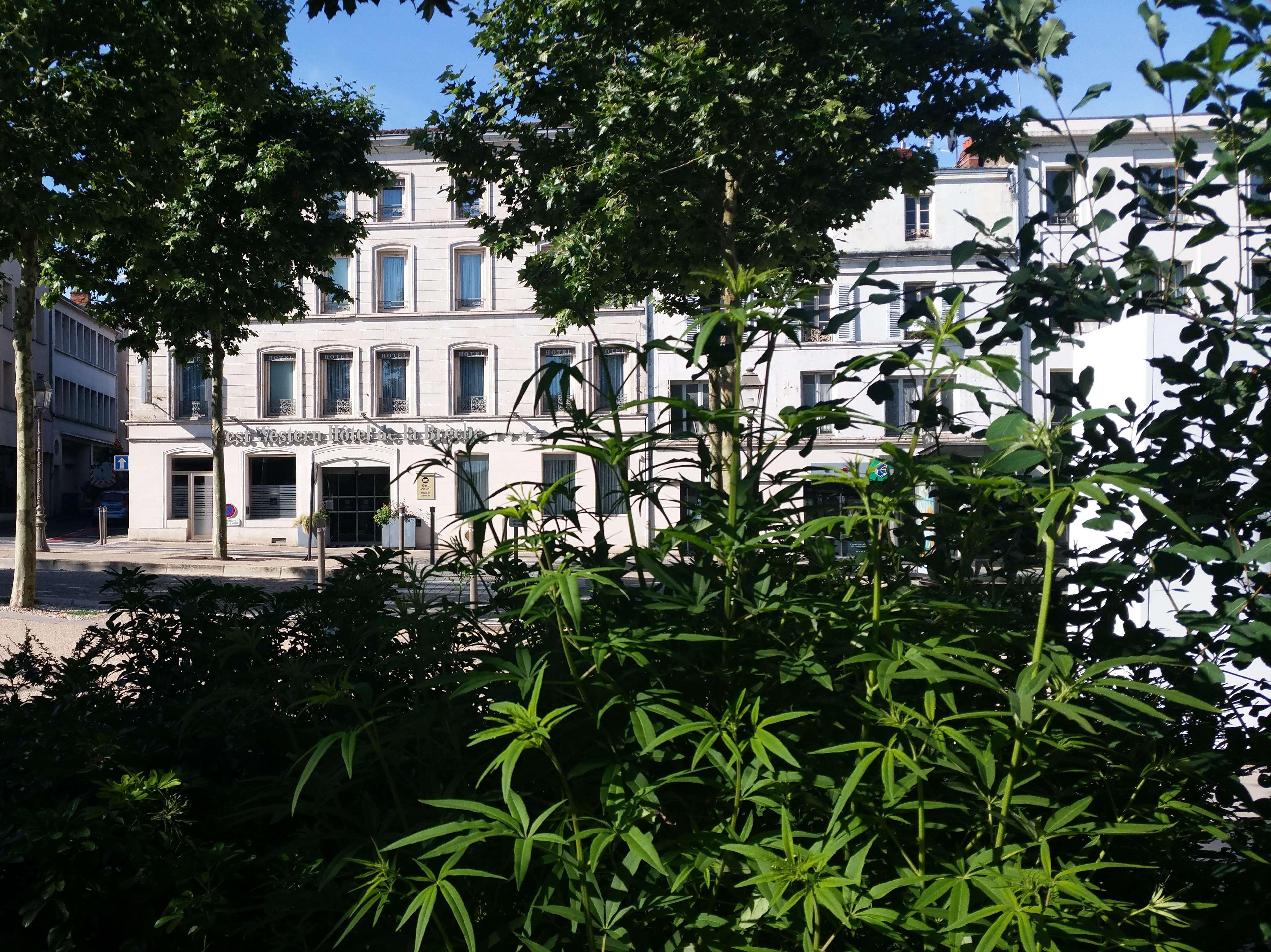 Best Western Hotel De La Breche Niort Ngoại thất bức ảnh